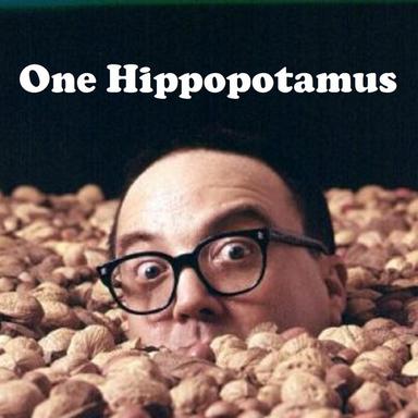 One Hippopotamus