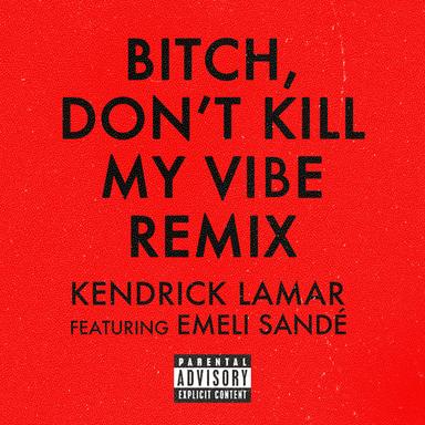 Bitch, Don’t Kill My Vibe - Remix