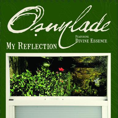 My Reflection (feat. Divine Essence) - Dj Gregory Remix