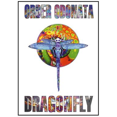 Order Odonata - Experiments That Identify Change