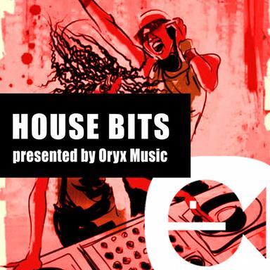 Disco Revenge - Dub Mix