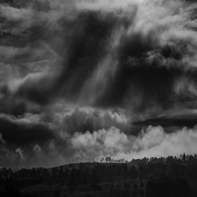 Light Rain on a Tin Roof