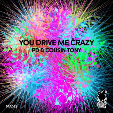 You Drive Me Crazy - Placidic Dream Deep & Dirty Mix