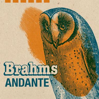 Variations on a Theme by Paganini, Op. 35, Book 1: Variation XI (Andante)
