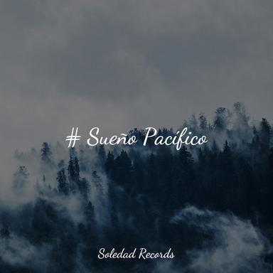 Meditación Consciente
