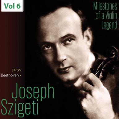 Violin Concerto in D Major, Op. 61: I. Allegro ma non troppo