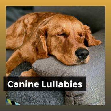 Canine Lullabies, Pt. 20