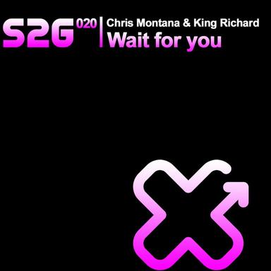 Wait for You - DJ Joe K Mix
