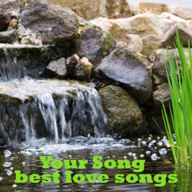 Your Song