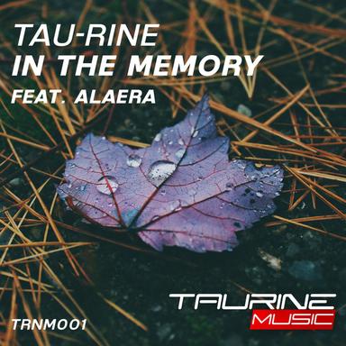 In The Memory - Radio Edit