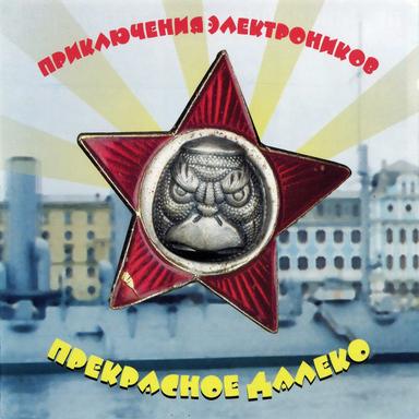 33 коровы
