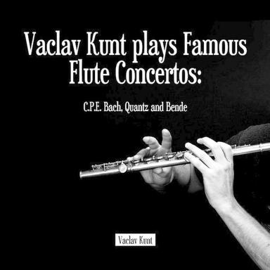 Concerto In D Minor For Flute And Orchestra, Wq 22: II. Un Poco Andante