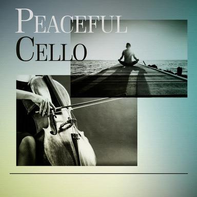 Cello Concerto No. 1 in C Major, Hob. VIIb:1: II. Adagio