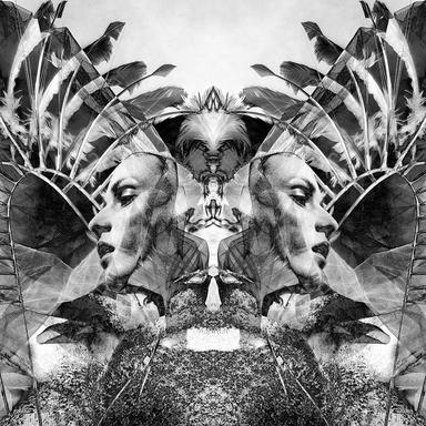 Natural Selection (feat. The Black Angels)