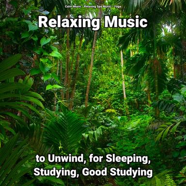 Relaxing Music to Help You Sleep