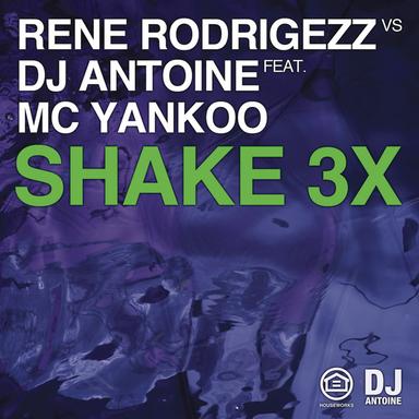 Shake 3x (feat. MC Yankoo) - 2k12 Extended Mix