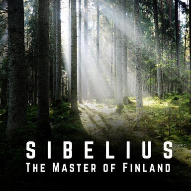 Violin Concerto in D Minor, Op. 47: I. Allegro moderato