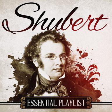 Piano Quintet in A, D. 667 - "The Trout" : 4. Thema - Andantino - Variazioni I-V - Allegretto