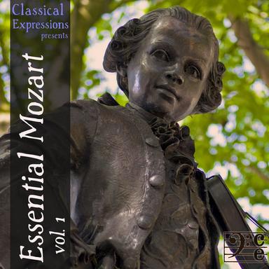 Symphony No. 25 in G Minor, K. 183: III. Menuetto - Trio
