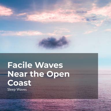 Ocean All Night Sleep