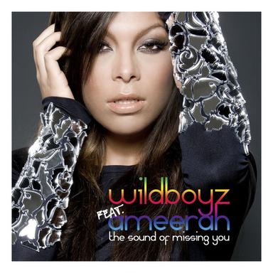 The Sound of Missing You (feat. Ameerah) - Radio Edit