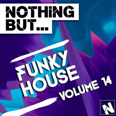 I Blame Music - Nik Denton Remix