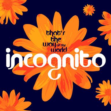 That's The Way Of The World (Ski Oakenfull vs Incognito Remix)