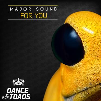 For You - Radio Edit