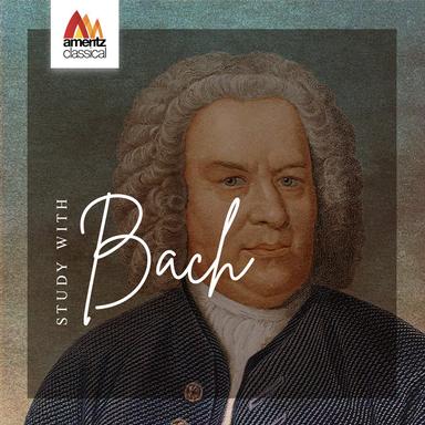 Concerto in B Flat Major, BWV 1051: Brandenburg Concerto No. 6 in B-Flat Major, BWV 1051