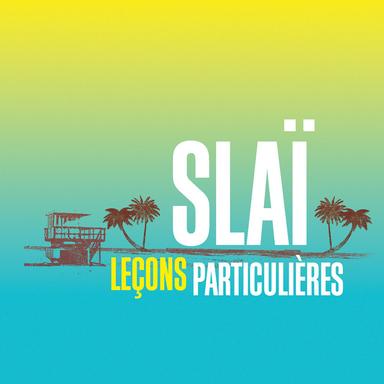 Leçons Particulières - Single version
