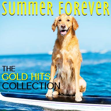 Hawaii Five-0 Theme