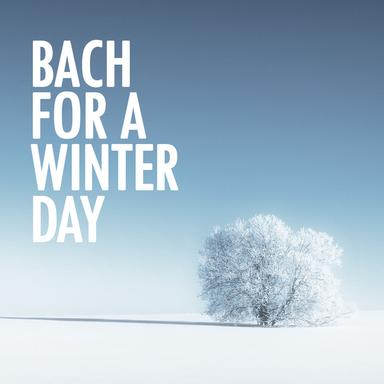 Suite for Cello Solo No. 2 in D minor, BWV 1008: 4. Sarabande