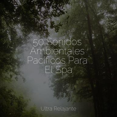 Felicidad