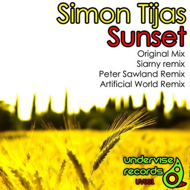 Sunset - Artificial World Remix