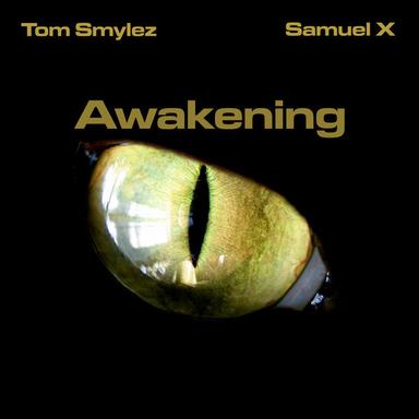 You Bring Me Joy - Tom Smylez Club Mix