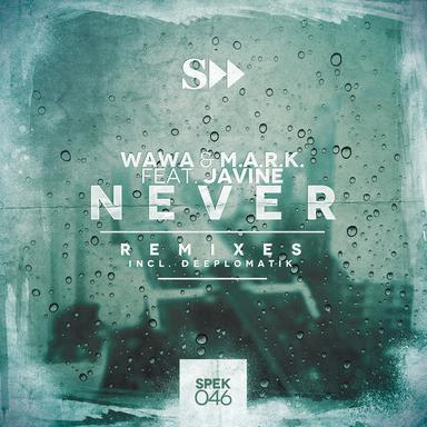 Never Ft. Javine - Deeplomatik Vocal Remix