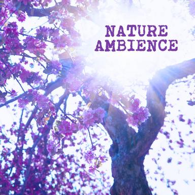 Rain Sleep: Nature Rain
