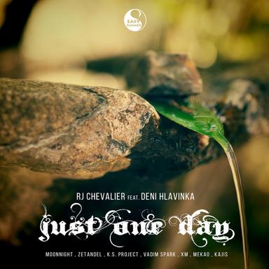 Just One Day Feat. Deni Hlavinka - Moonnight Remix