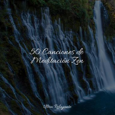 Escalofríos De Principios De Primavera