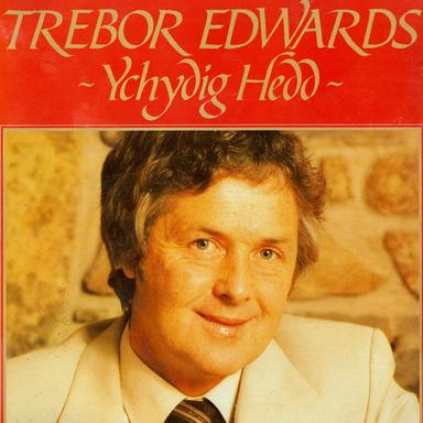 Ychydig Hedd
