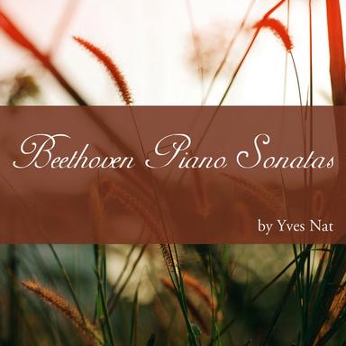 Piano Sonata No. 1 in F Minor, Op. 2 No. 1: II. Adagio