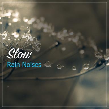 Rainy Weather