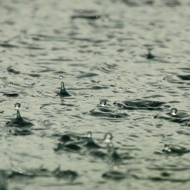 Rain in the Gutter