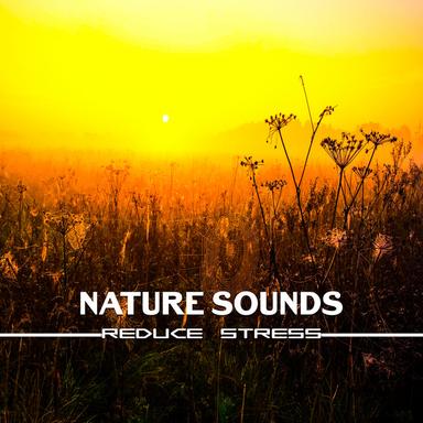 Easy Listening