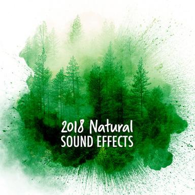 Noisy Streams
