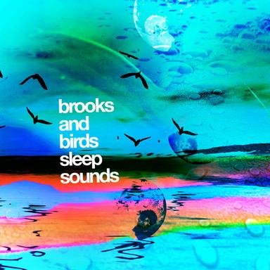 Babbling Brook Birds