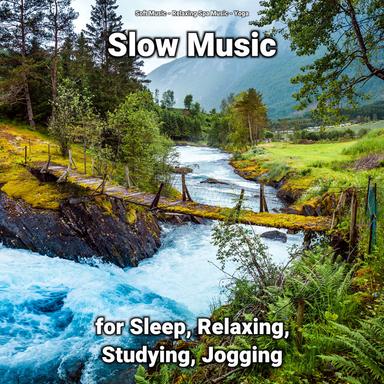 Relaxing Music to Sleep By