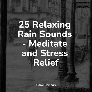 Soothing Ocean Sounds