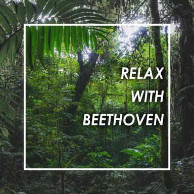 String Quartet No. 1 in F Major, Op. 18 No. 1: 3. Scherzo. Allegro molto