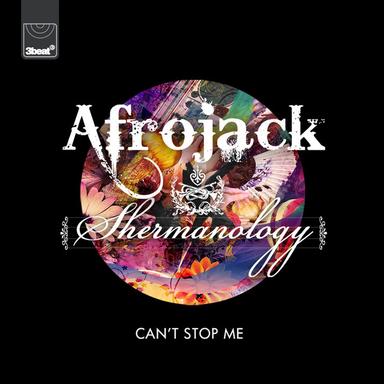 Can’t Stop Me - Tiesto Remix
